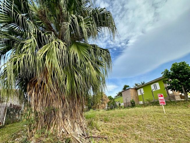 Terreno Bairro Santa Catarina